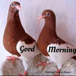 4567's Chat & Dating Profile