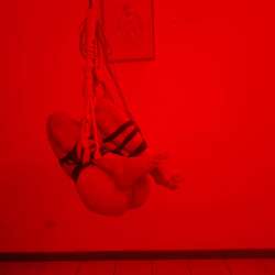 Alox's Chat & Dating Profile