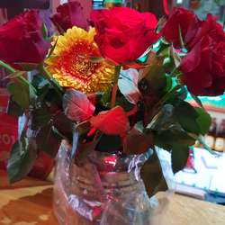 Anais's Chat & Dating Profile