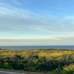 Casadobi's Chat & Dating Profile