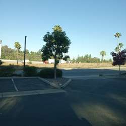 Jimalan5250's Chat & Dating Profile