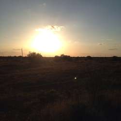 Kest's Chat & Dating Profile