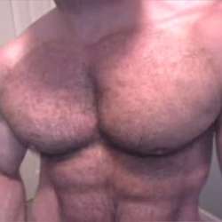 MUSCLEHUNK7's Chat & Dating Profile