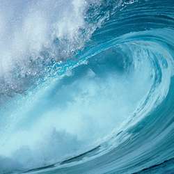 Marche's Chat & Dating Profile