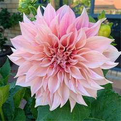 Might24's Chat & Dating Profile