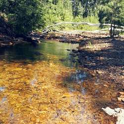 Mikaelo's Chat & Dating Profile