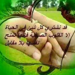 Samsaif's Chat & Dating Profile