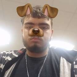 Wolf22's Chat & Dating Profile