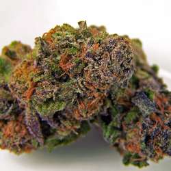 kribone's Chat & Dating Profile