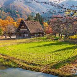 lynn6969's Chat & Dating Profile