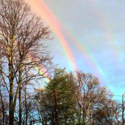 robertajeri's Chat & Dating Profile