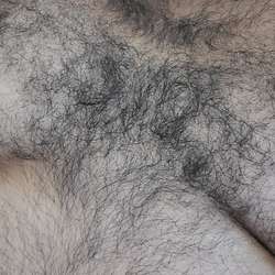 vershornyhairy's Chat & Dating Profile